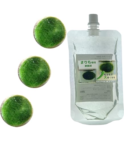 Amazon.co.jp: 北海道産【養殖まりも】2個入り 選べる4色ミニボトル